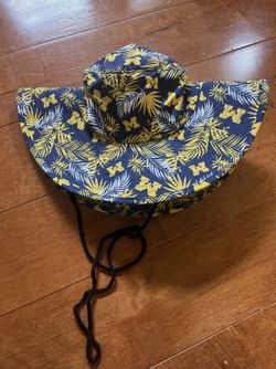 New Michigan Hat
