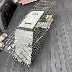 Small Animal Trap