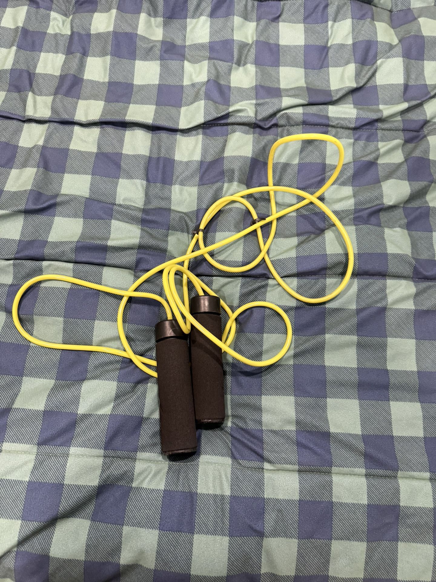 weighted jump rope (ignite)