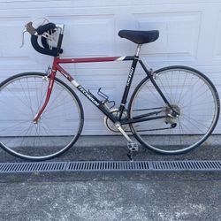 SCHWINN RALEIGH TECHNIUM WITH TRILITE FRAME BICYCLE!!!