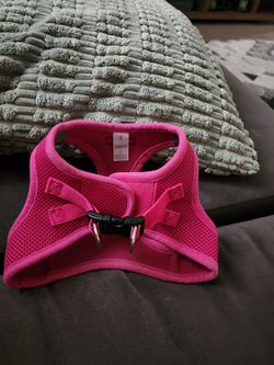 Small Dog Harness 