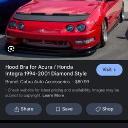 Acura/ Honda Integra Car Bra