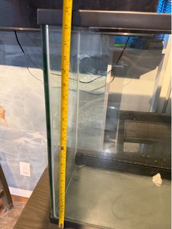Fish tank