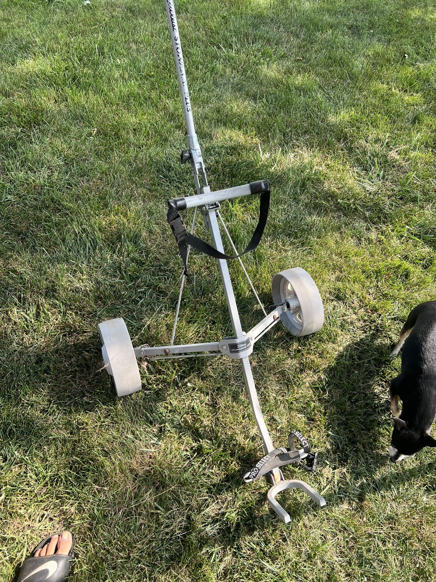 Golf Push Cart