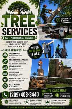 Trees and bushes