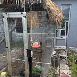 Bird Cage