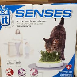 Senses