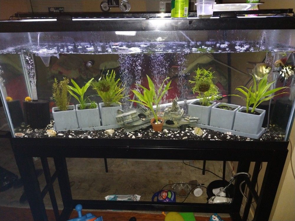 55 Gallon Tank and stand 