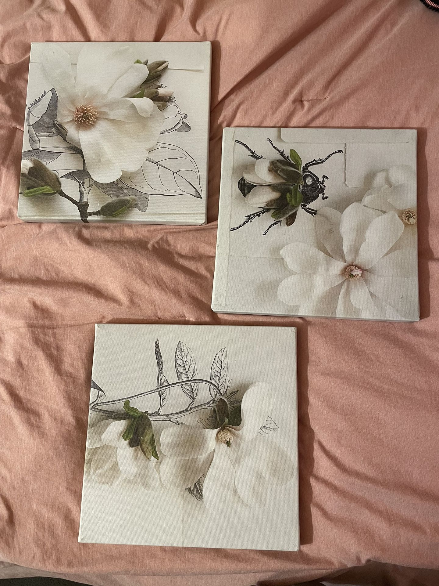 flower picture frames
