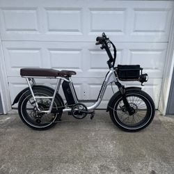 RadRunner 1 Plus Electric Bike