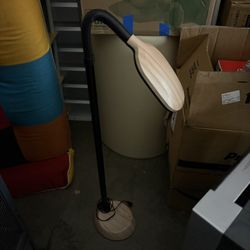 Adjustable Floor Light 