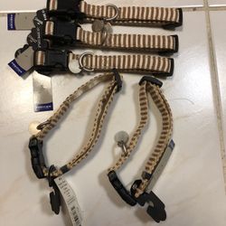Dog Collars 