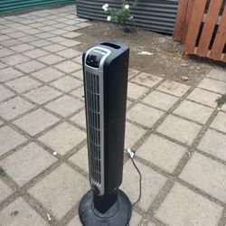 Fan