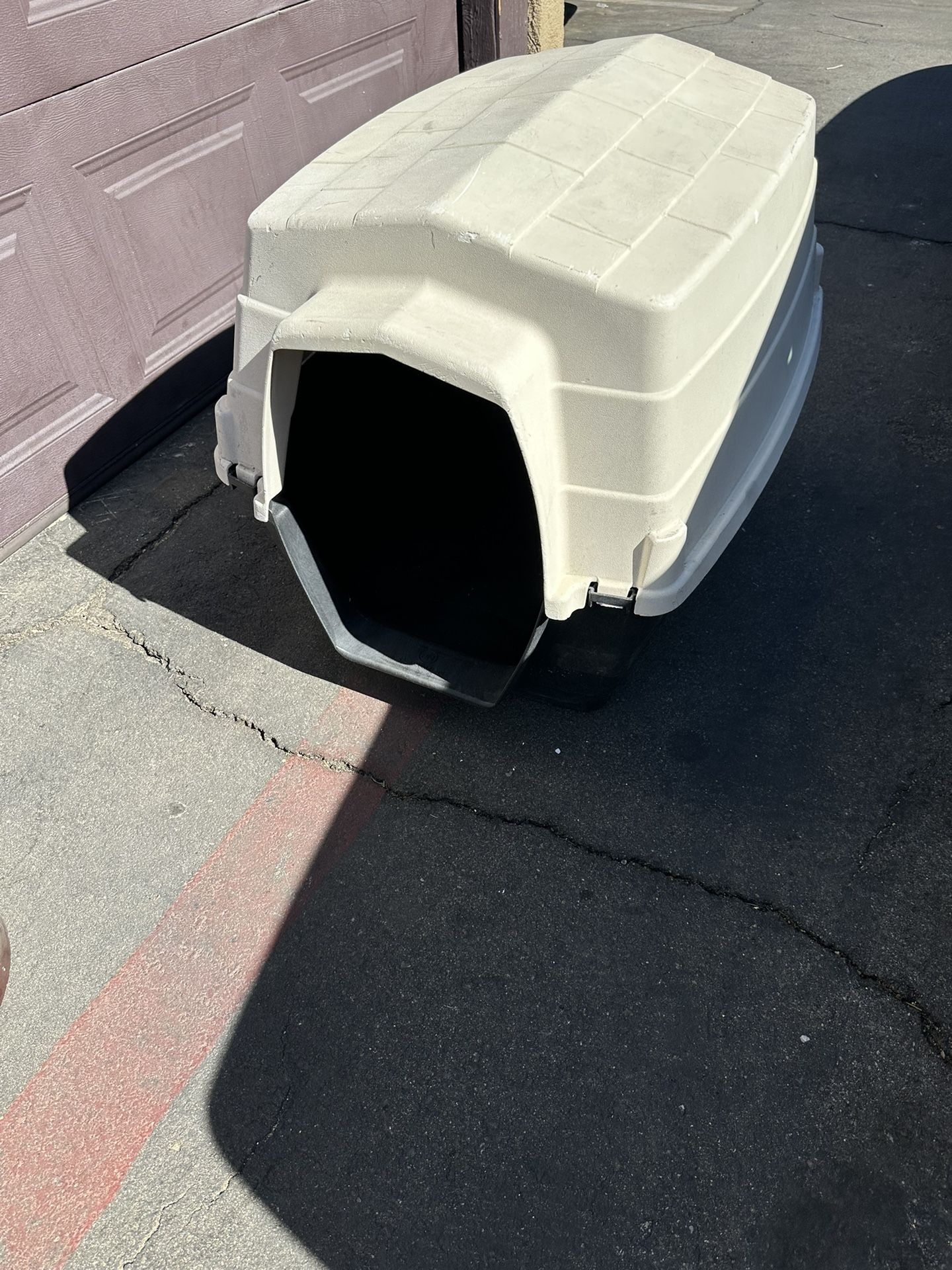 Big Dog Igloo/Dog House