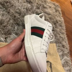 Gucci Ace
