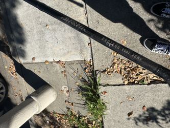 Daiwa proteus rod