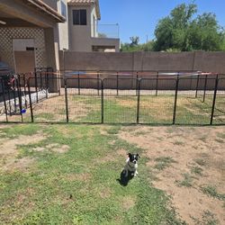 Pet Cage/enclosure