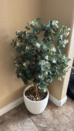 Tree Indoor Decor