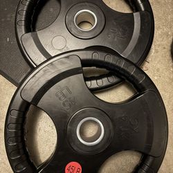 Pair of 45lb rubber plates