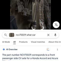 NCV75509 corresponds to a front passenger side CV axle for a Honda Accord and Acura TSX. @ • Honda Accord: This part is compatible with the 2008-2017 