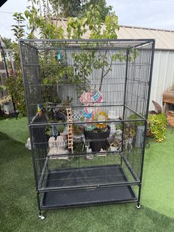 Bird cage with lot of accessories