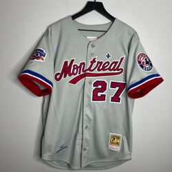 Montreal Expos Vladimir Guerrero Jersey Mens Large Grey Mitchell & Ness Baseball
