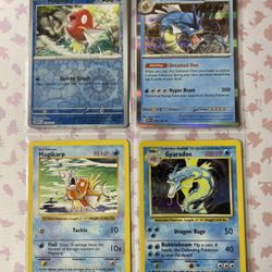 Magikarp,Gyarados