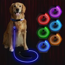 Correa Led Para Perro