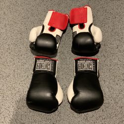 Boxing Gloves For Sale