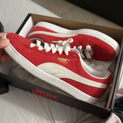 Sz 9 Pumas 