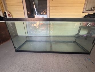 150 gallon tank