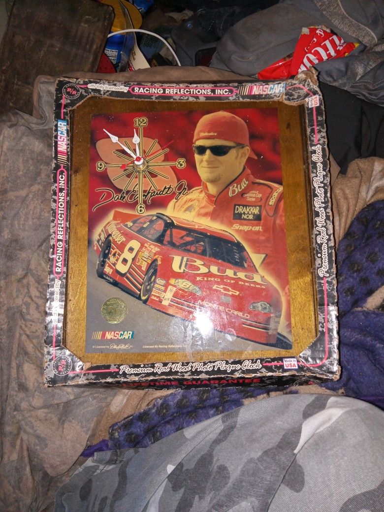 Dale Jr And Nascars