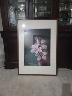 Pictur Frame