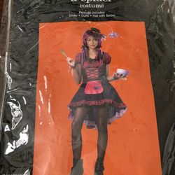 Along Came A spider Halloween Costume Teen Large 10-12