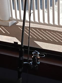 Fishing Rod And Reel
