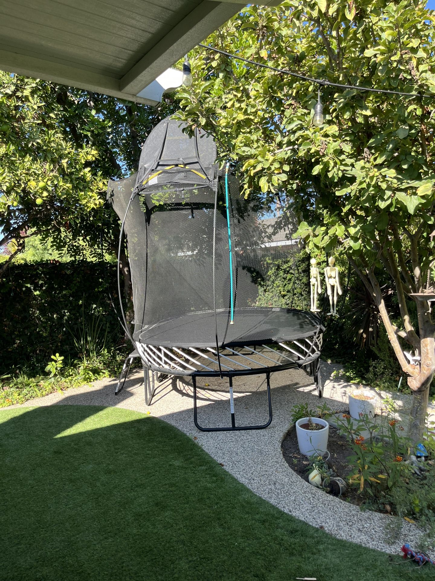 Lightly Used Spring Free Trampoline 