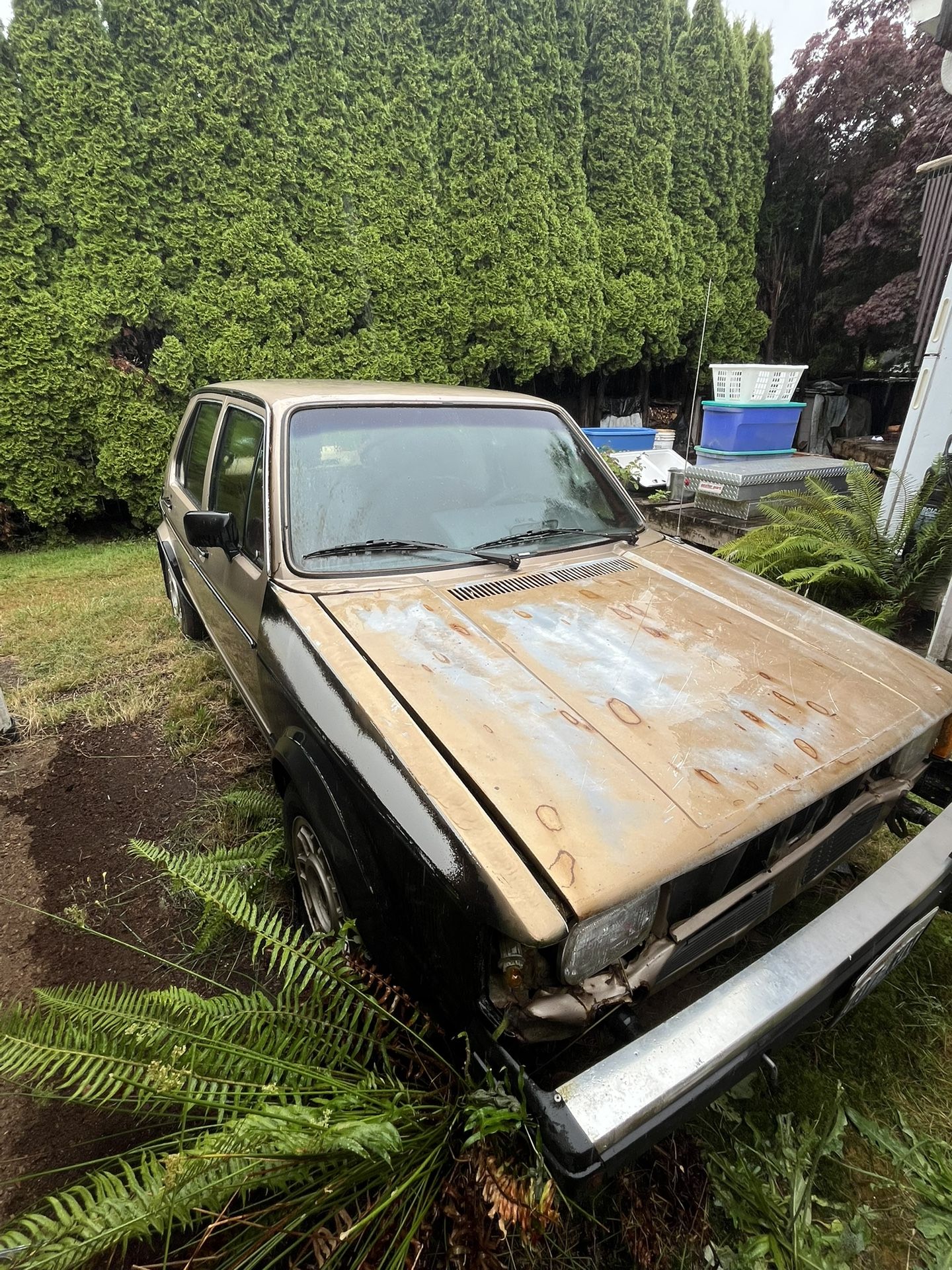1981 Volkswagen Rabbit