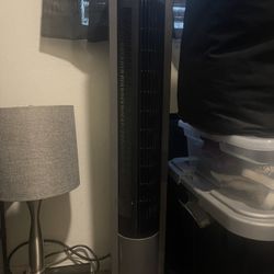Fan 