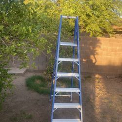 Plarform Ladder 6Ft