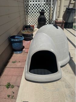 Igloo dog house