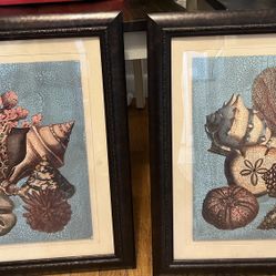 Two Framed Seashell Pictures 