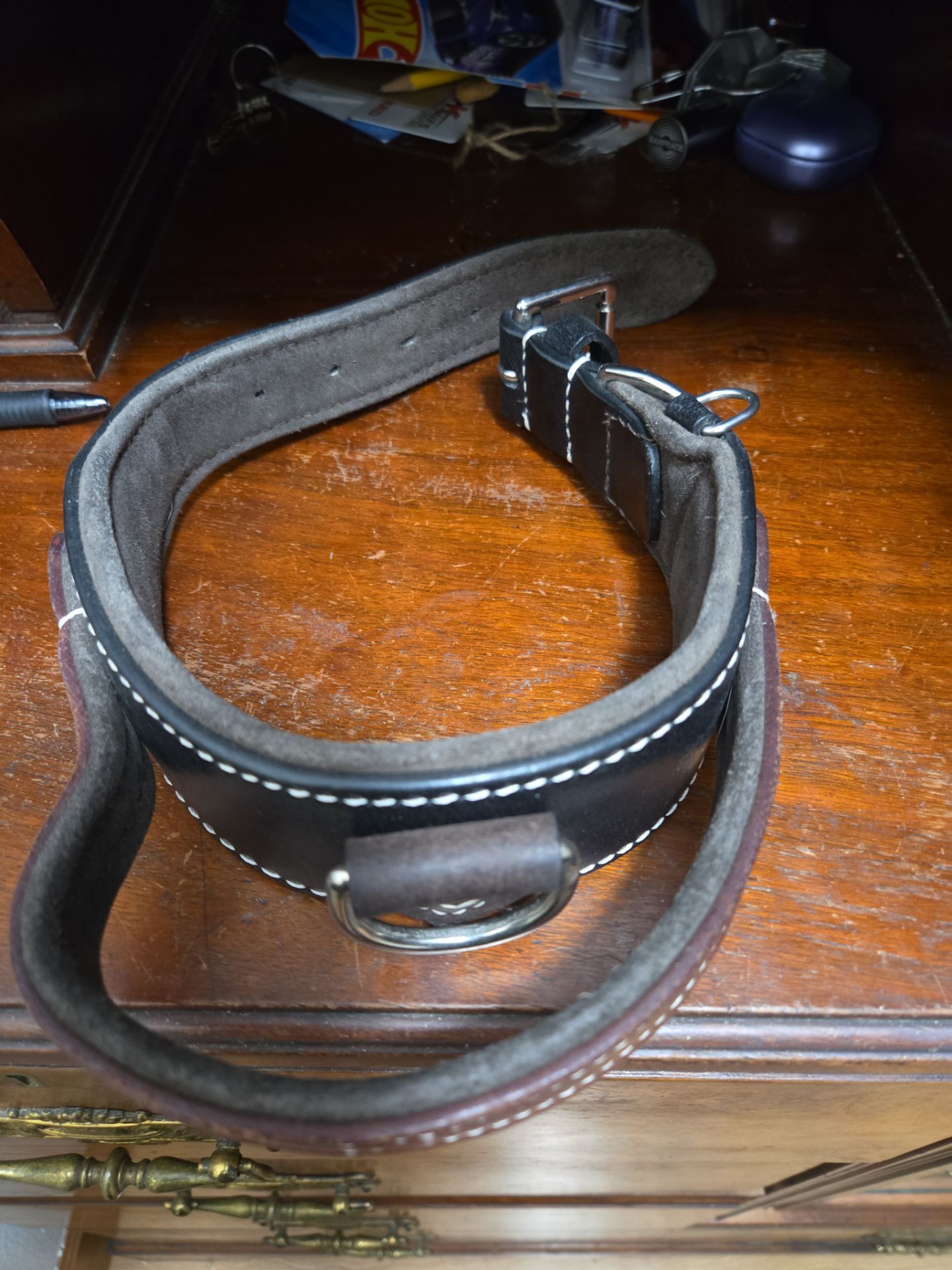 Blazing Paws Leather dog collar