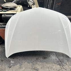 2016-2021 Chevy Malibu Hood 