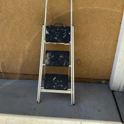 $30 Ladder