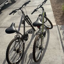 A Pair Of Bicycle