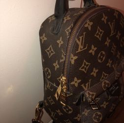 L V Small Back Purse