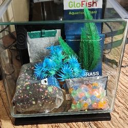 3 Gallon GloFish Tank Kit 