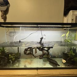 fish supplies