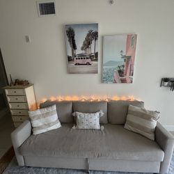 Gray Pull Out Couch 
