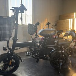 E bike